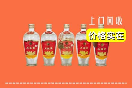 洛扎县回收老五粮液